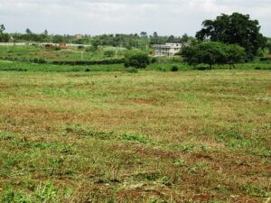 buying land in Kenya