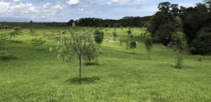 plots for sale in Nanyuki