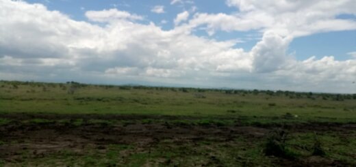 plots for sale in Nanyuki