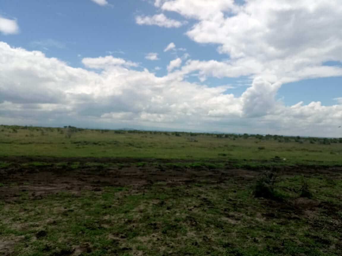 plots for sale in Nanyuki