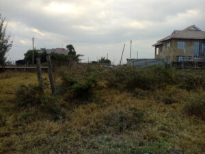 Plots for Sale in Katani