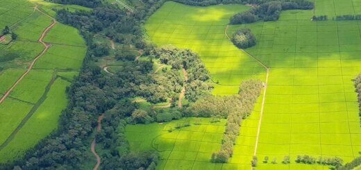 Kenya is the best country to invest land in