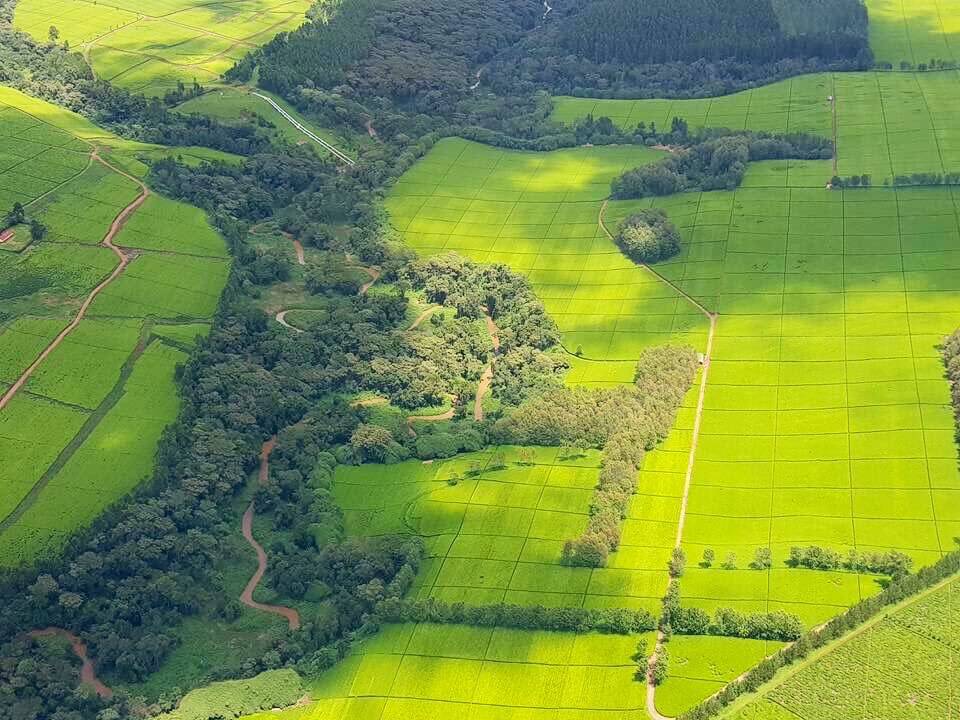 Kenya is the best country to invest land in