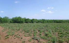 agricultural land for sale in malindi