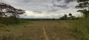 land for sale in Gatitu