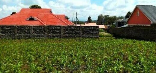 Land for Sale in Ngata Nakuru