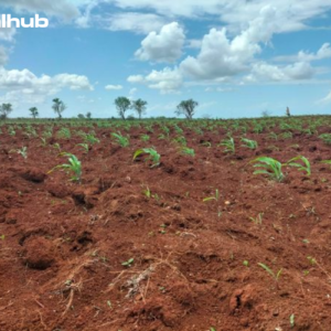 plots for sale in malindi