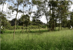 Land for Sale in Mathira