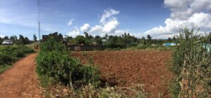 plots for sale in mlolongo