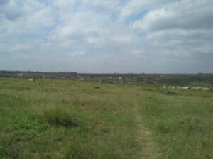 plots for sale in mlolongo 