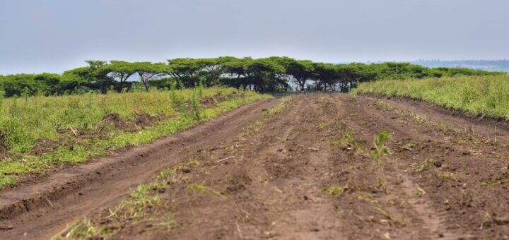 Agricultural Land in Nakuru