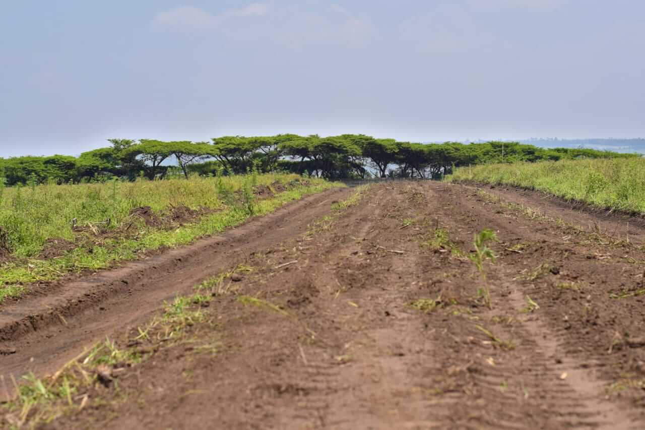 Agricultural Land in Nakuru