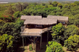 Farm Houses for Sale in Kenya