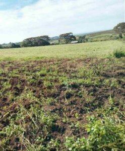 Agricultural Land in Nakuru