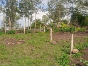 plot for sale in Ngong