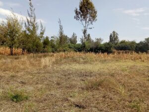 plot for sale in Ngong