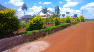 Thika Greens Phase 3 plots for sale