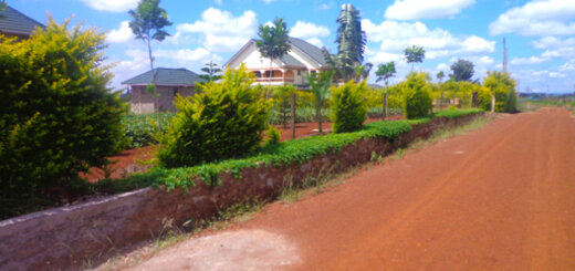 Thika Greens Phase 3 plots for sale