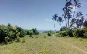 land for sale in Vipingo