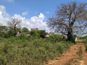 Land for Sale in ramisi