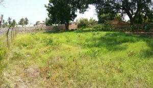 land for sale in mikindani