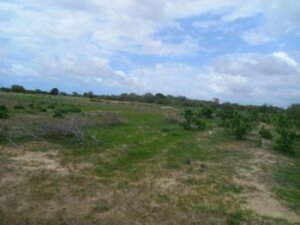 Land for sale in kakoneni Malindi