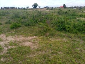 land for sale in mariakani mombasa