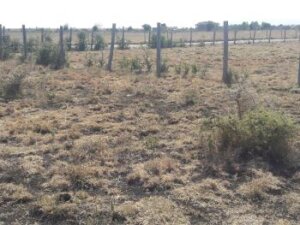 land for sale in kitengela town