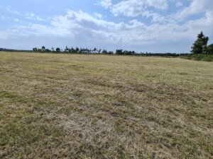 land for sale in naro moru