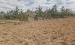 Gated Community Plots for Sale in Kitengela