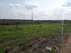 plots for sale ruiru bypass