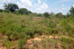 land for sale in mutomo