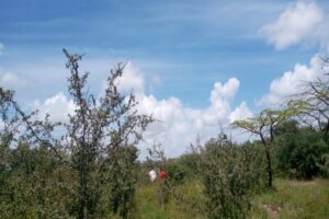 land for sale in mutomo