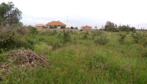 plots for sale in syokimau mwananchi road