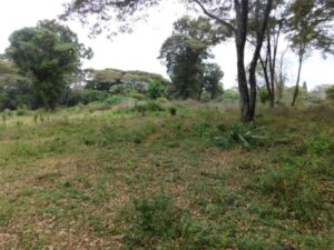 land for sale in ndalu