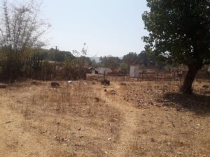 Agricultural land for sale in Tala