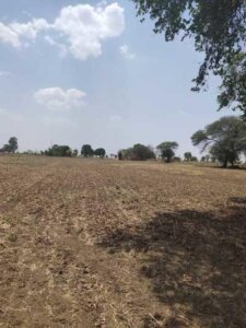 Agricultural land for sale in Tala