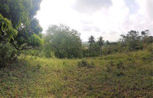 Land for sale in Mtwapa