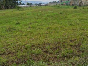 land for sale in kibomet kitale