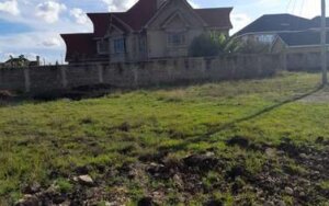 Plots for Sale in Kahawa Sukari