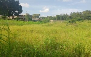 land for sale in kwa vonza