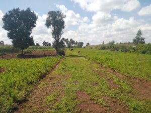 Plots for sale in Chaka