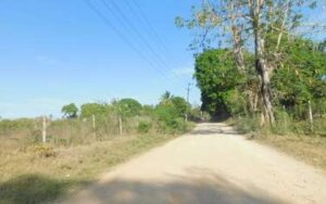 Land for sale in Kikambala