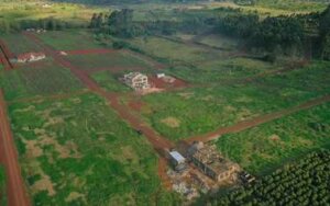 Plots for sale near Tatu City