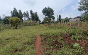 plots for sale in Zambezi Limuru