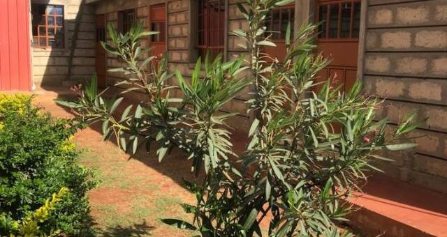 houses for sale in chokaa