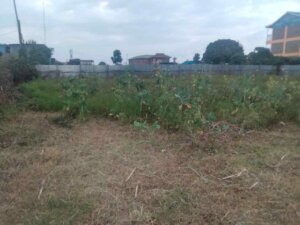 land for sale in mwingi