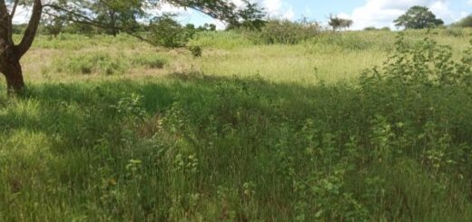 land for sale in makindu