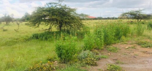 Land for sale in Birika Kiserian