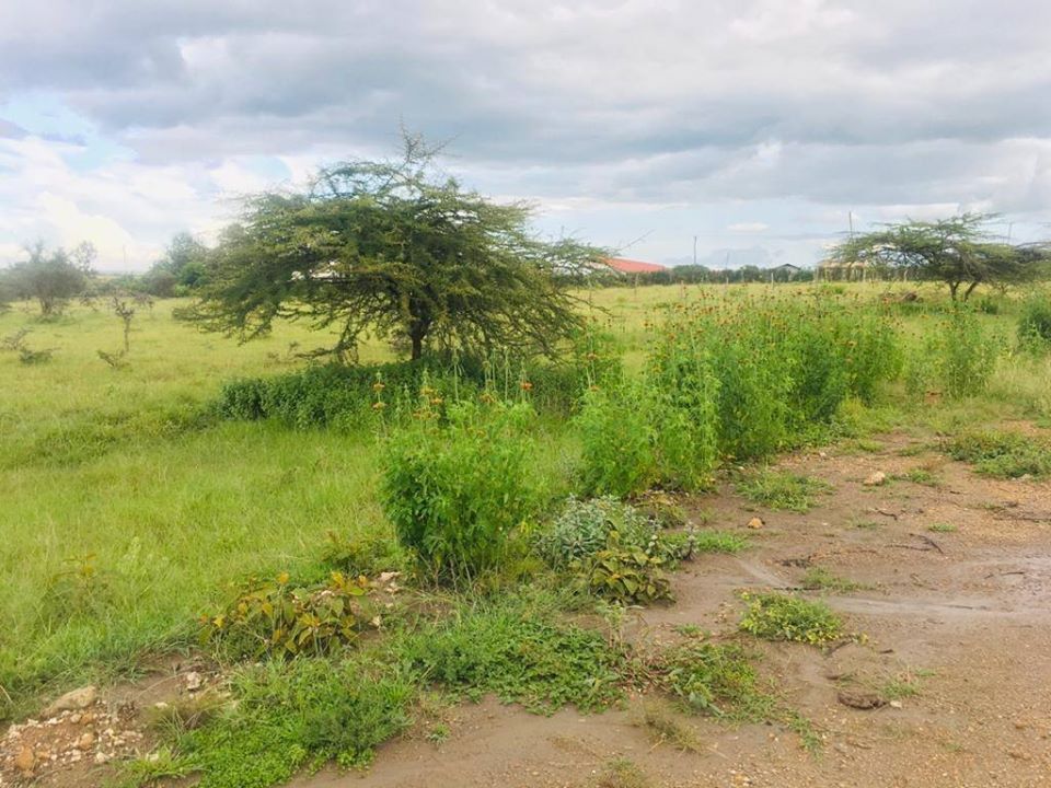 Land for sale in Birika Kiserian